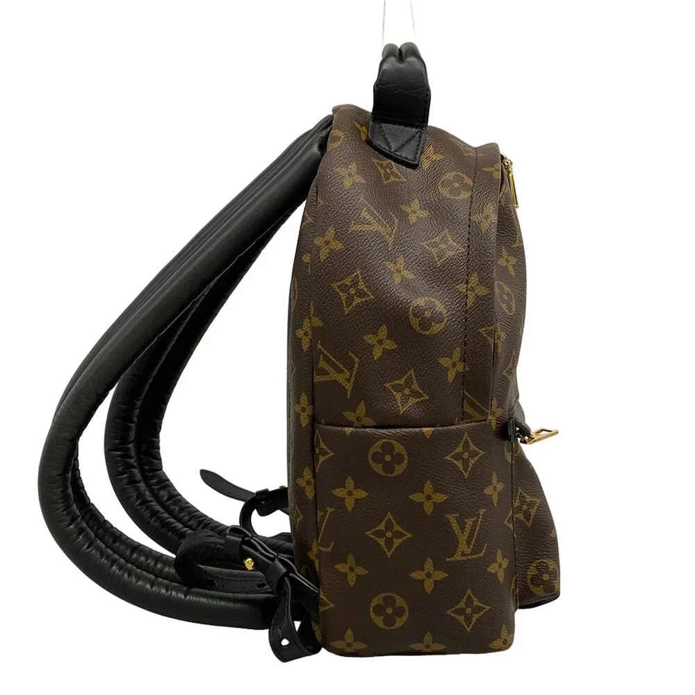 Louis Vuitton Palm Springs Backpack PM Monogram Backpack M41560